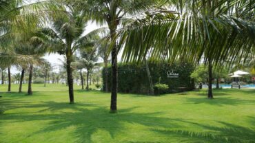 Top 3 khách sạn, resort ở Quảng Bình gần, sát, có bãi biển riêng